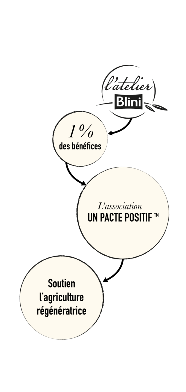 image (6)