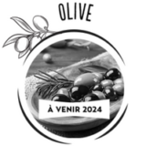 filière olive